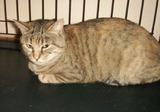 bb85a5e2.jpg
