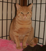 bfb38e63.jpg