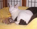 fe508562.jpg