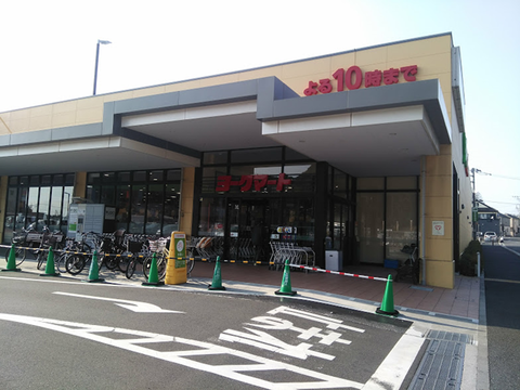 york-fukaya