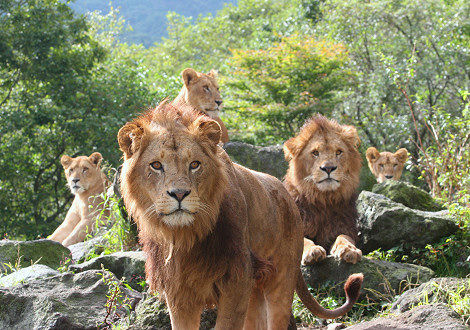 df803e65b78707f73fa69a76350ddcbf