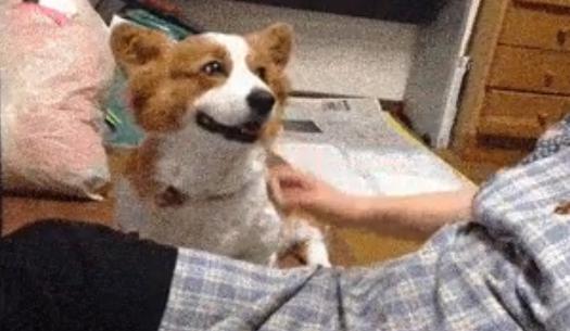 7748