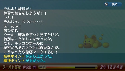 きのこ (5)