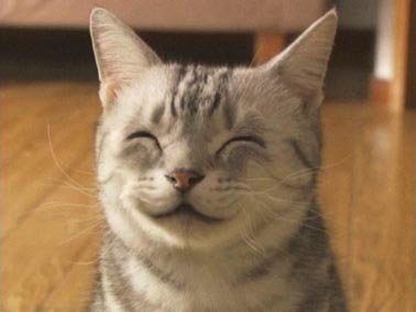 593510e2bbd412e95a6fca7c4f72c477ca14f4e2