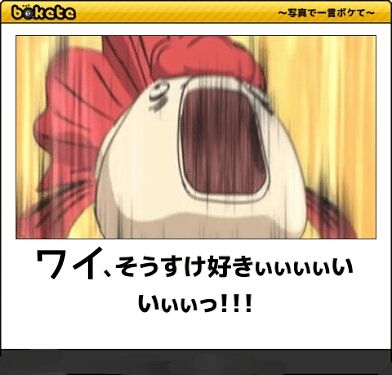 c81d90da