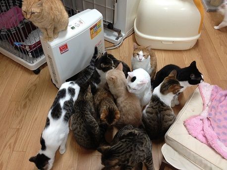 あったけえなぁ