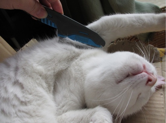 d70c3405981fd6697e4fdd57b4776620