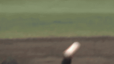 岡田2回頭部デッドボール