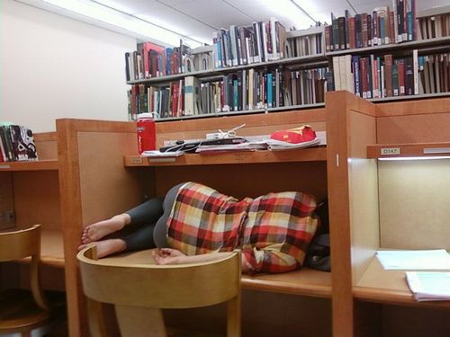 library_sleep_01