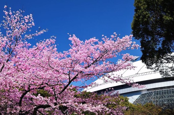 78CC3D9E44BA48789B82E01527B420F5_L