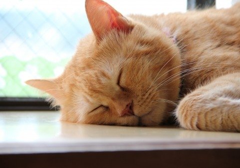 20130114140124_50f39124f310d