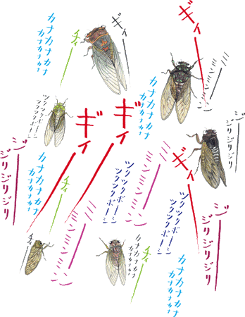 seminakigoe