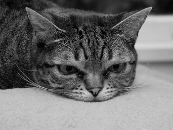 it's_still_raining_by_studio-d-thumbnail2