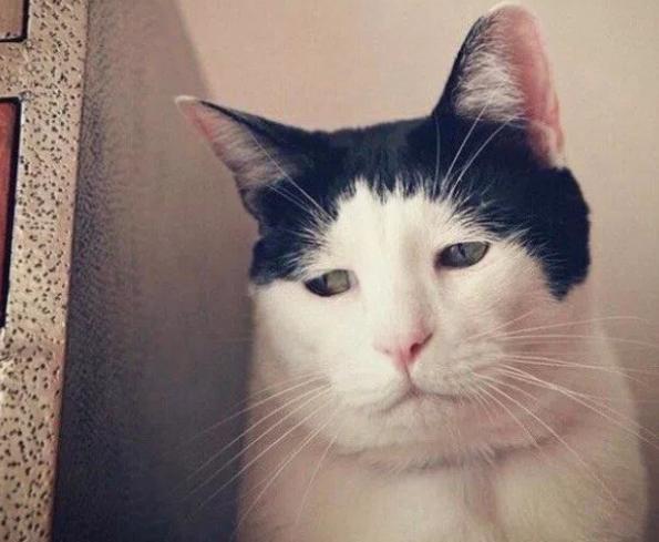 4545