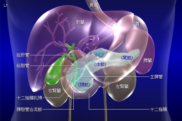 膵臓癌