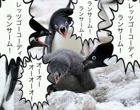 ランサム