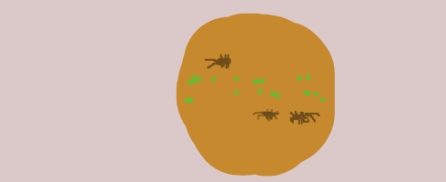 livejupiter-1501421141-73-490x200