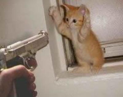 6c85cbb60f7384b1df1e268f22ca8b47_400