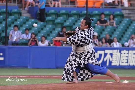 o0600039912111352818