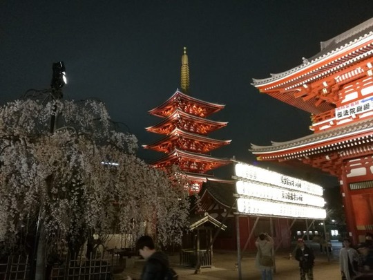 夜の浅草寺~五重塔