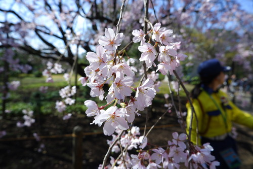 DSCF0800
