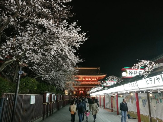 夜の浅草寺