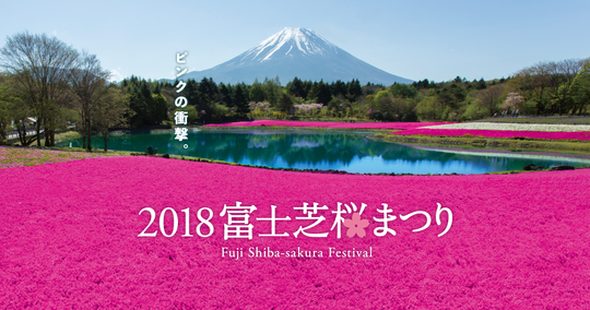 fuji shiba-sakura Fes