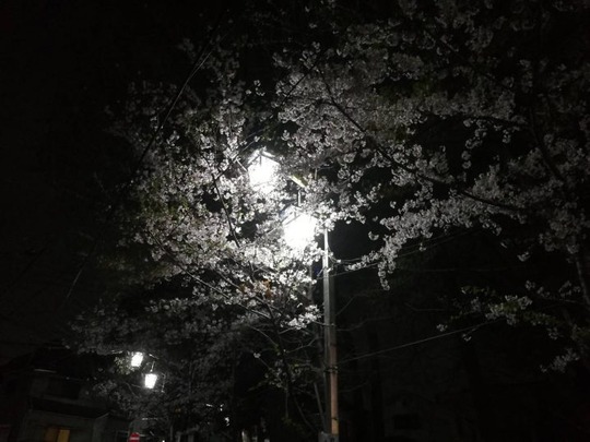 中野5丁目
