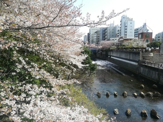 20180408222321-1024x768
