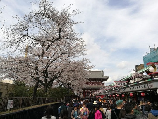 浅草寺前