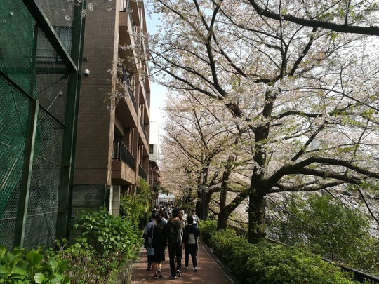20180408222202-1024x768