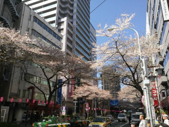 中野通り
