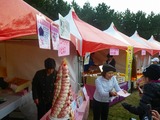 IMGP3329