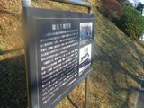 IMGP3231
