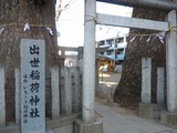 IMGP3317