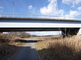 P1000017