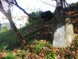 IMGP3223