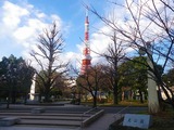 IMGP3375
