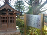IMGP3203