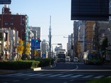 IMGP3097