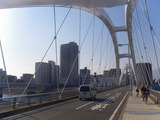 IMGP3247