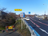 IMGP3118