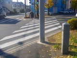 IMGP3235