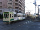 IMGP3093