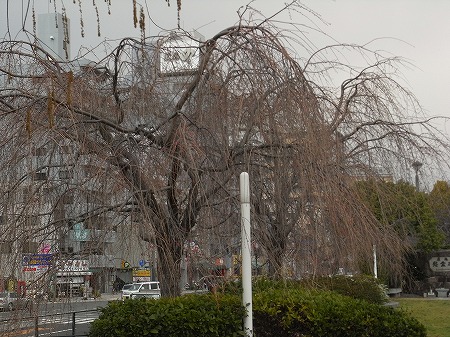R0011373