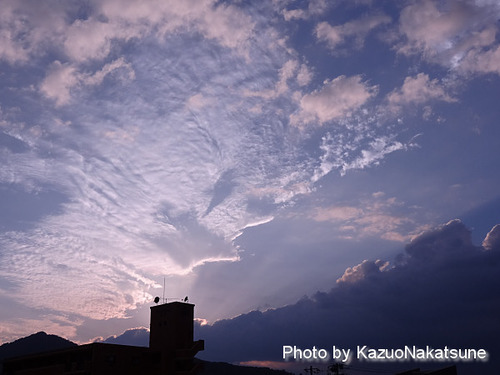 DSC01077_s