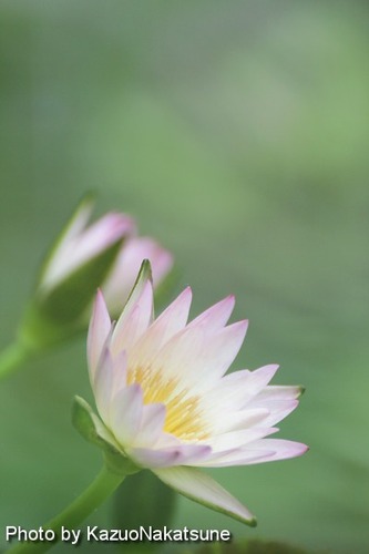 Img_1989_s