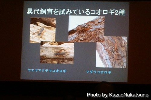 P1040418