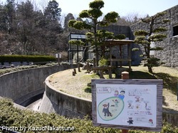 asa_zoo-227
