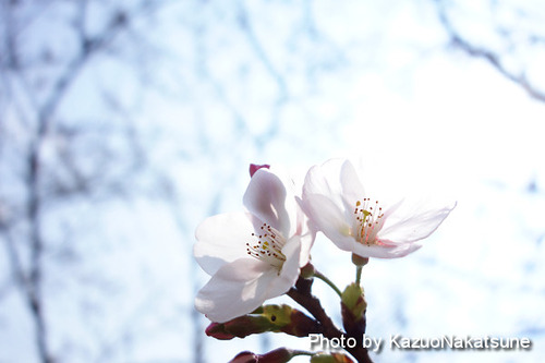 DSC01586_s